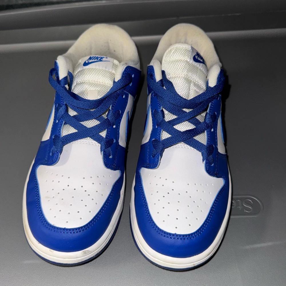 Nike Kentucky Blue Dunks (Low)